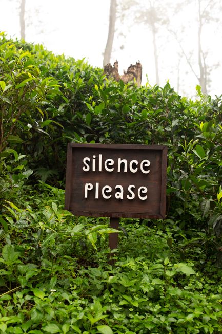 A wooden sign reading 'silence please' amidst lush tea plants in a serene Sri Lankan garden.