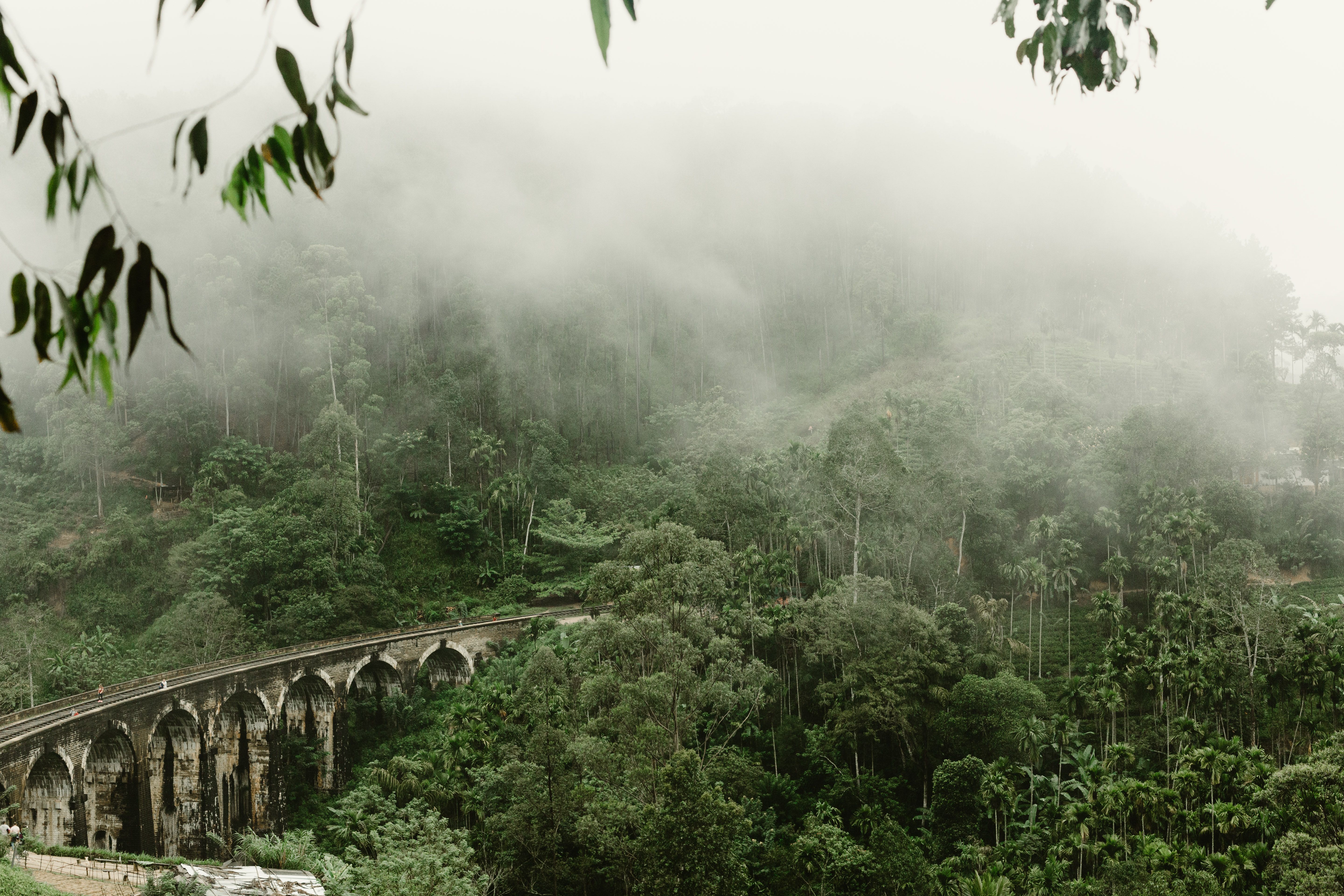 Nine Arch Bridge Viewpoint: A Practical Guide