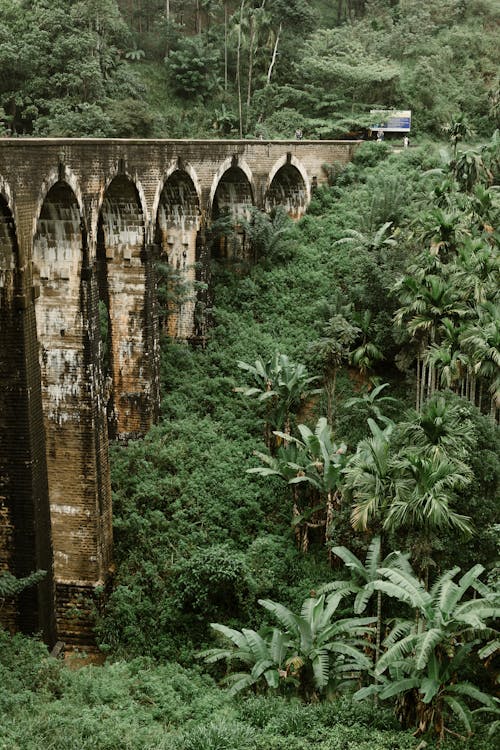 Fotobanka s bezplatnými fotkami na tému Ázia, deväť oblúkových mostov, džungľa