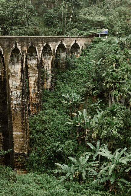 Stunning view of the iconic Nine Arches Bridge surrounded by vibrant jungle in Sri Lanka.