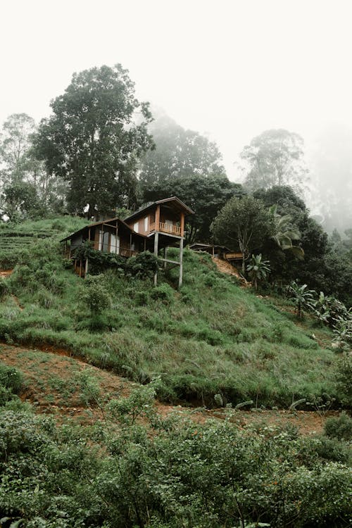 Foto stok gratis area, di luar rumah, gunung