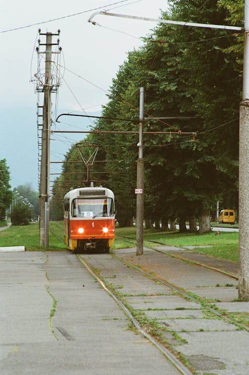 Red Tram Beside the Trees