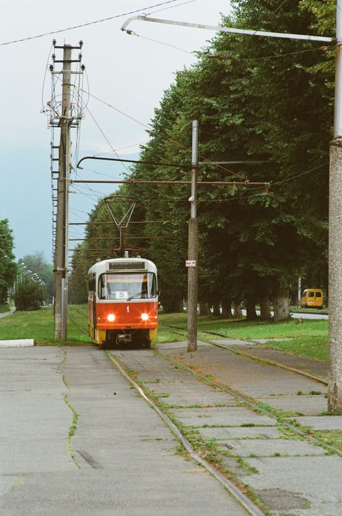 Red Tram Beside the Trees · Free Stock Photo
