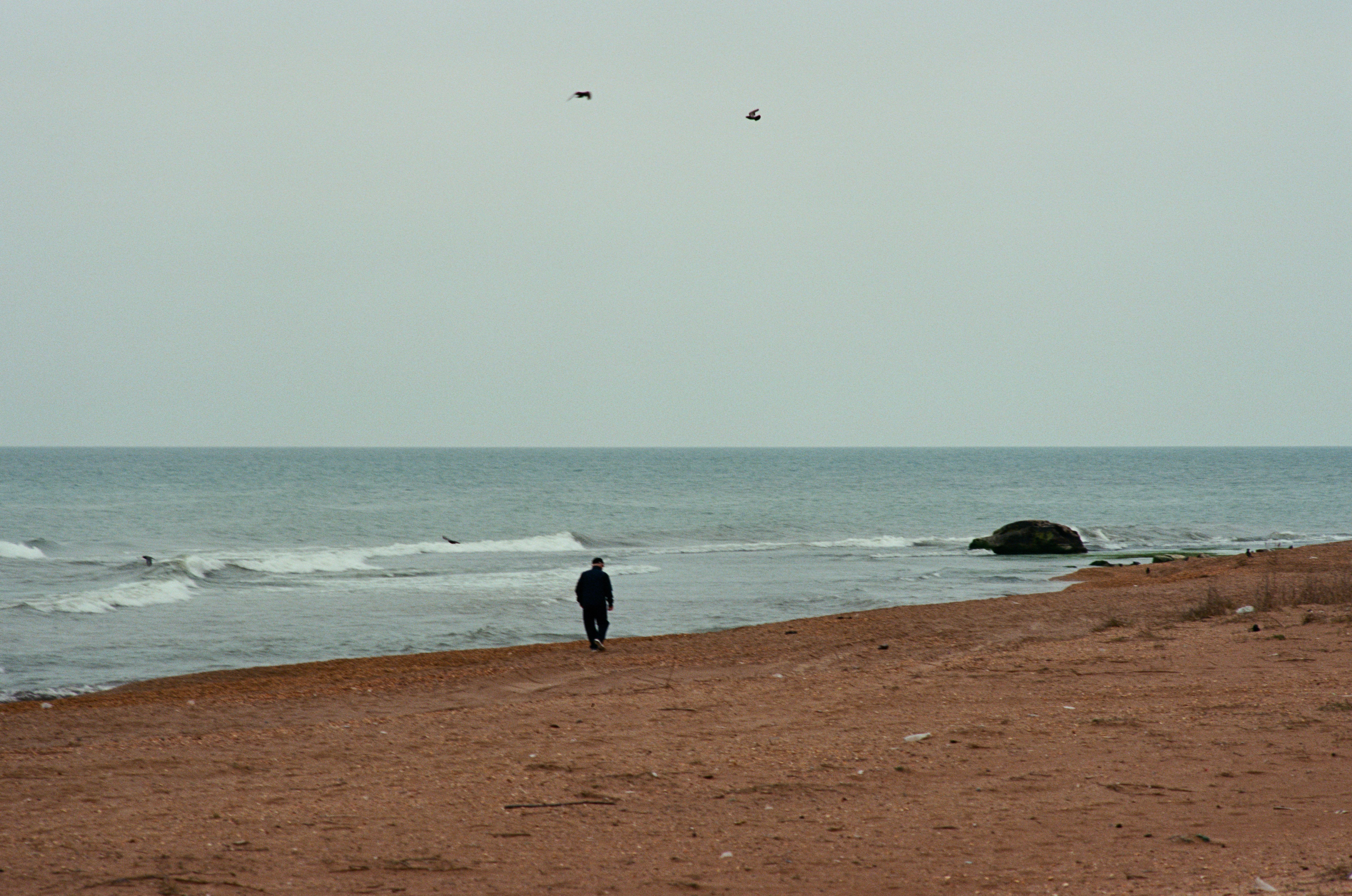 Person walking waking on beach shore, Somalia