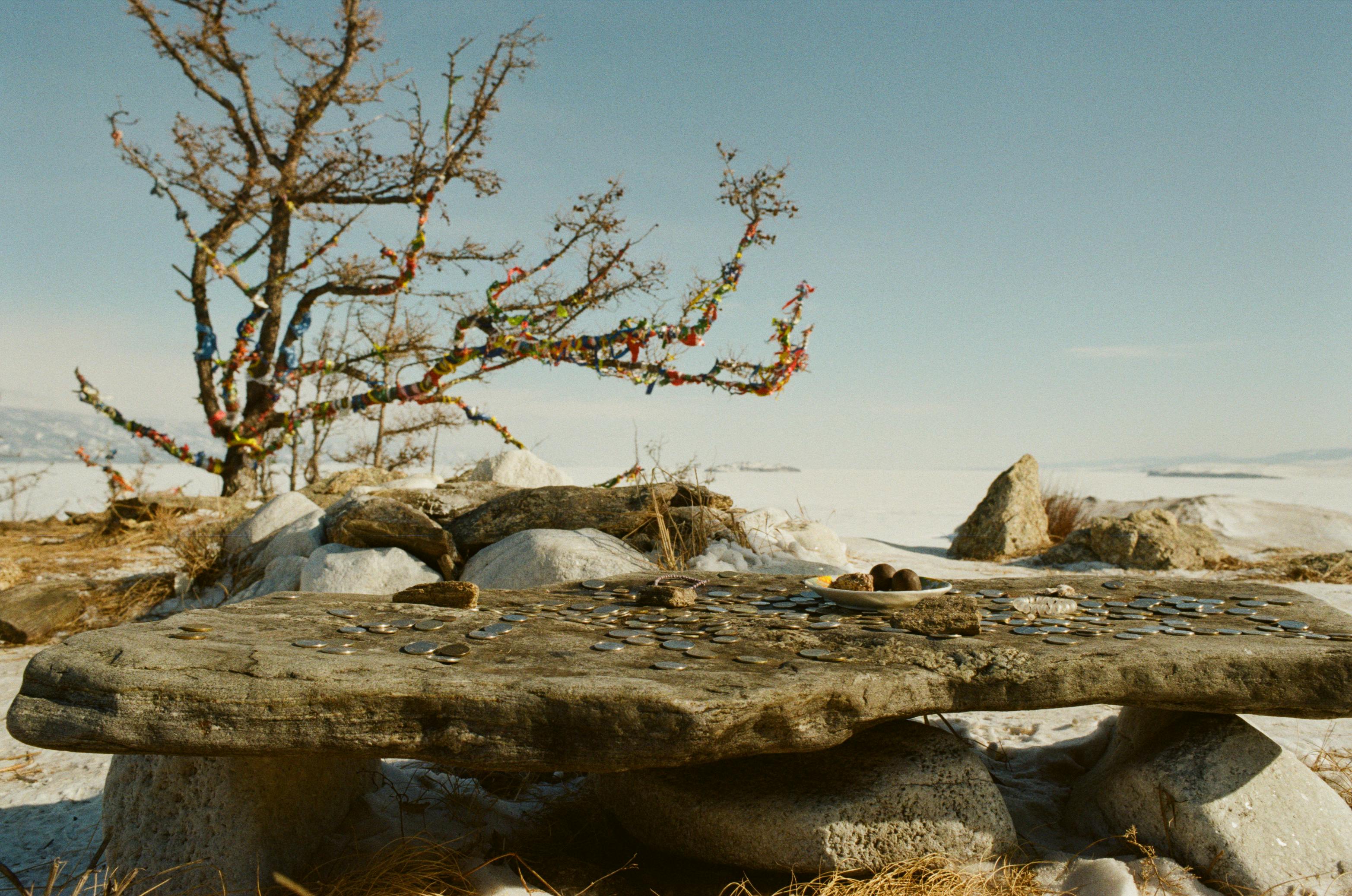 테슬라 Model Y 이미지