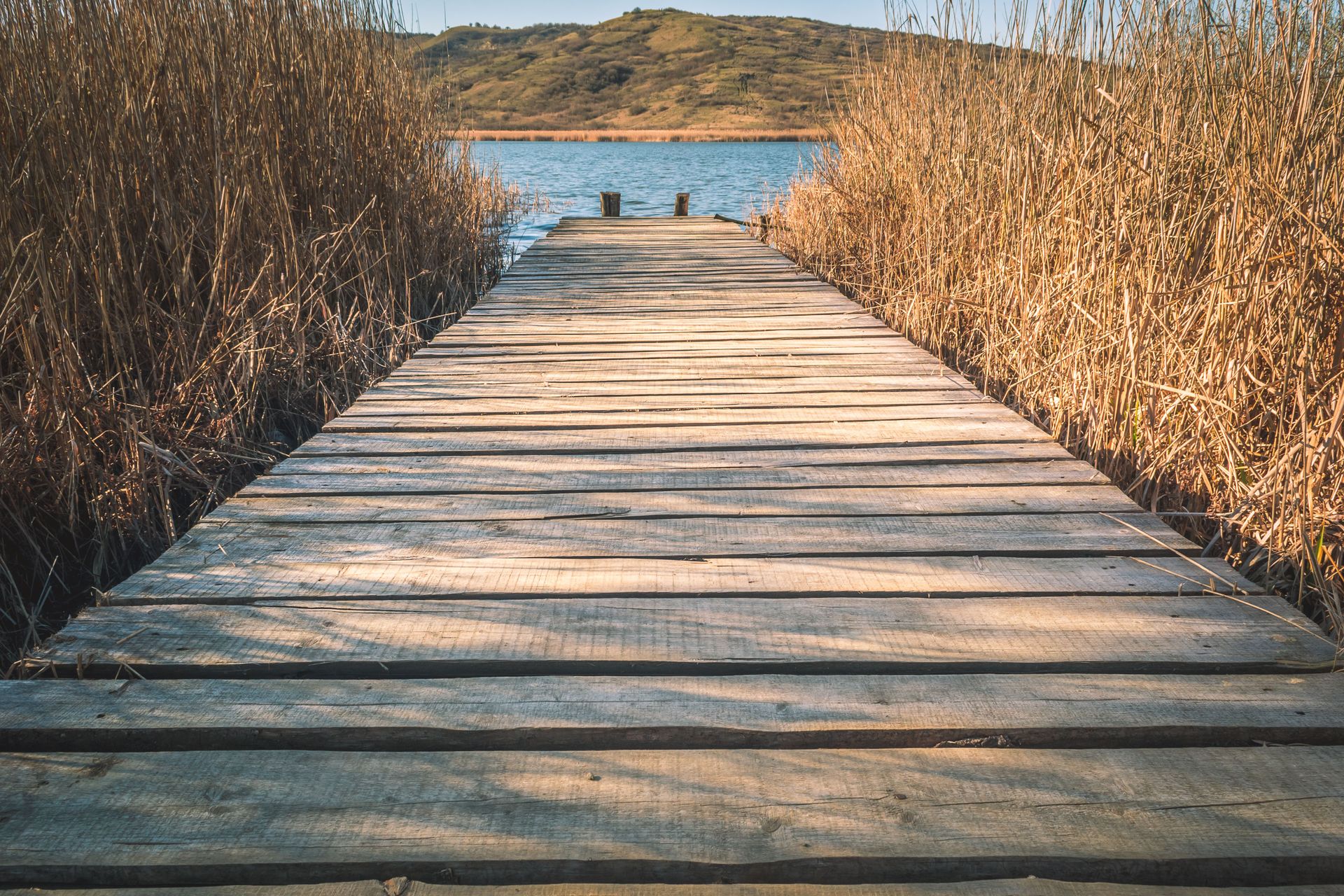 A peaceful wooden boardwalk surrounded by tall reeds leading to a calm lake.