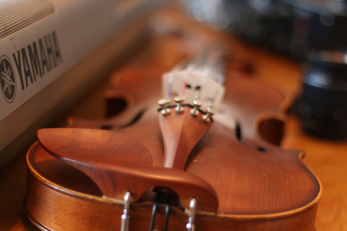 Free バイオリン, ぼかし, ヤマハの無料の写真素材 Stock Photo