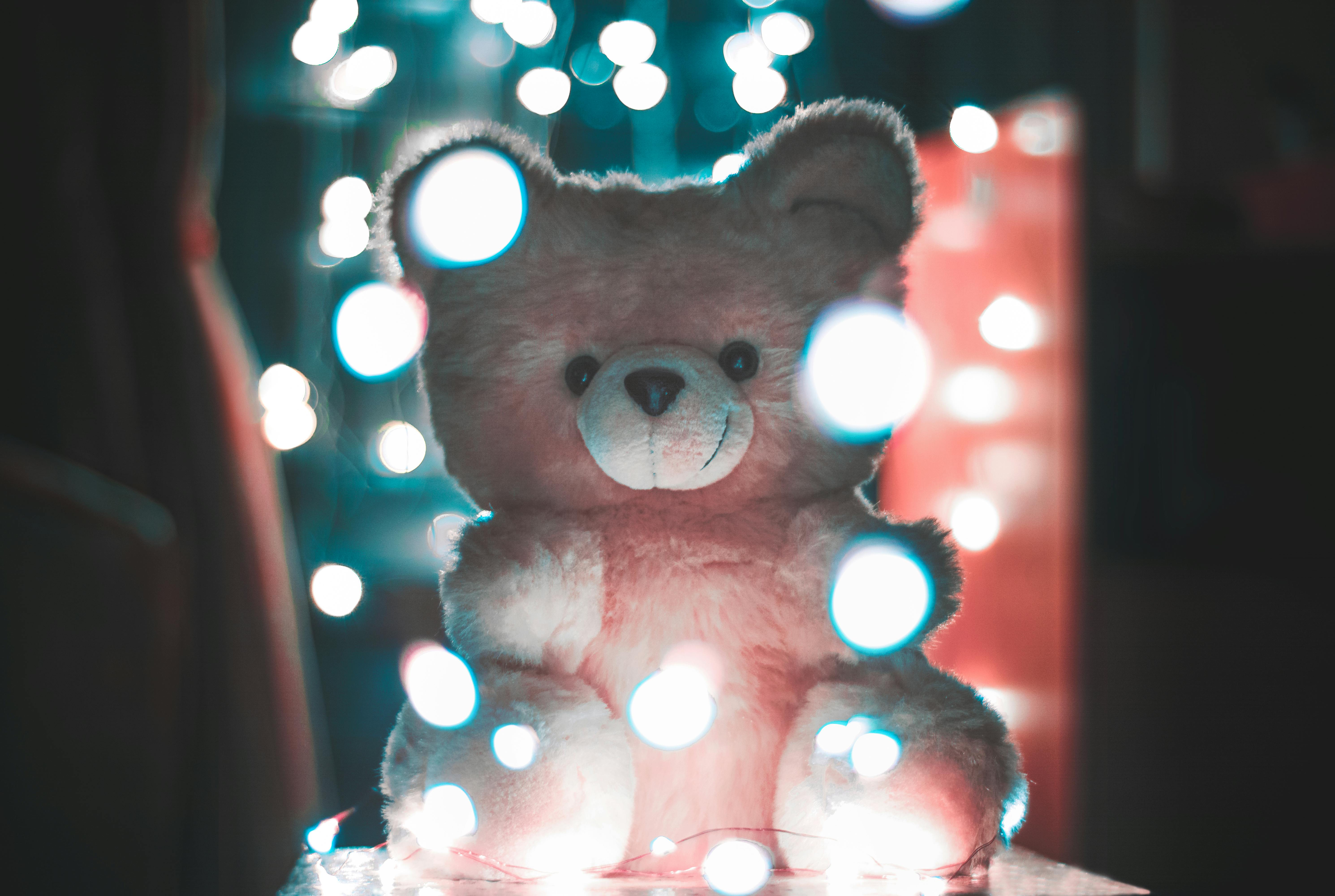 Teddy Bear Photos, Download The BEST Free Teddy Bear Stock Photos