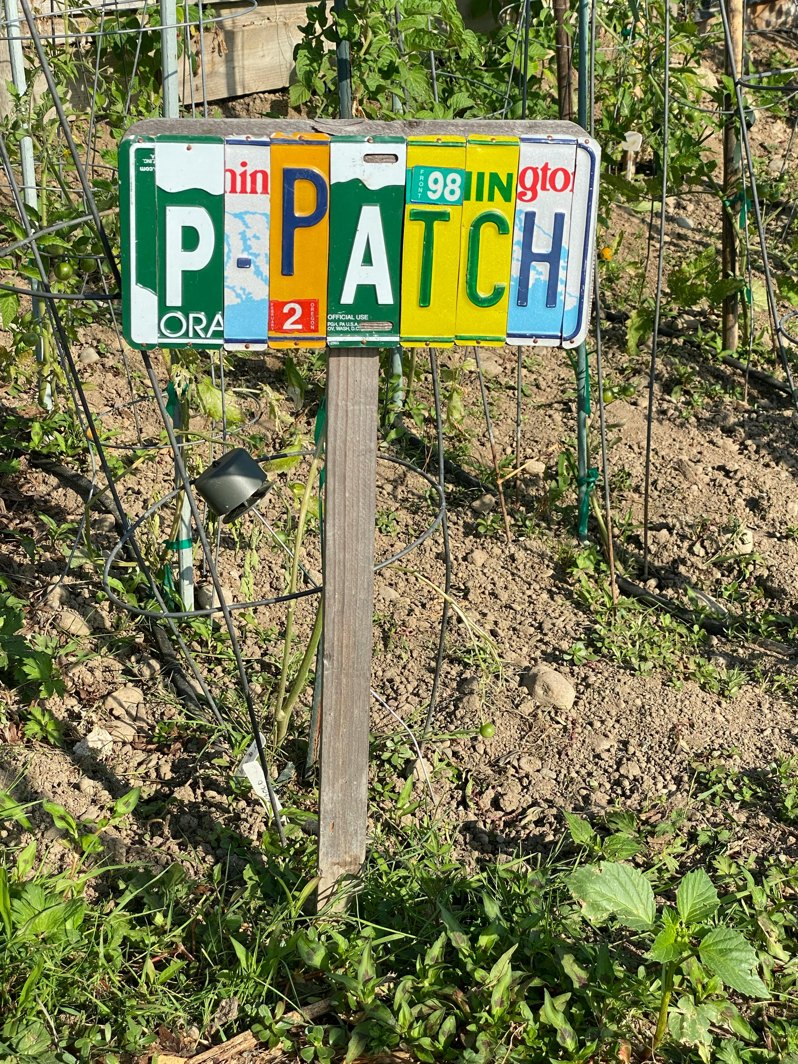 Retiro de Ayahuasca de 3 días en Atitlán