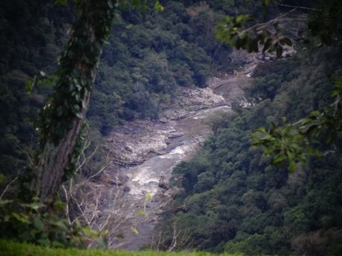 Free stock photo of brazil, cachoeira, canela Stock Photo