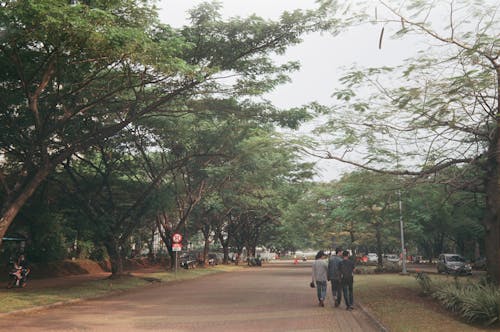 Foto stok gratis diaspal, jalan, orang berjalan