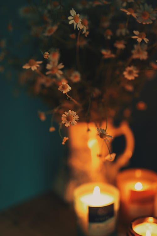 Kostenloses Stock Foto zu blumen, blütenblätter, candlelights