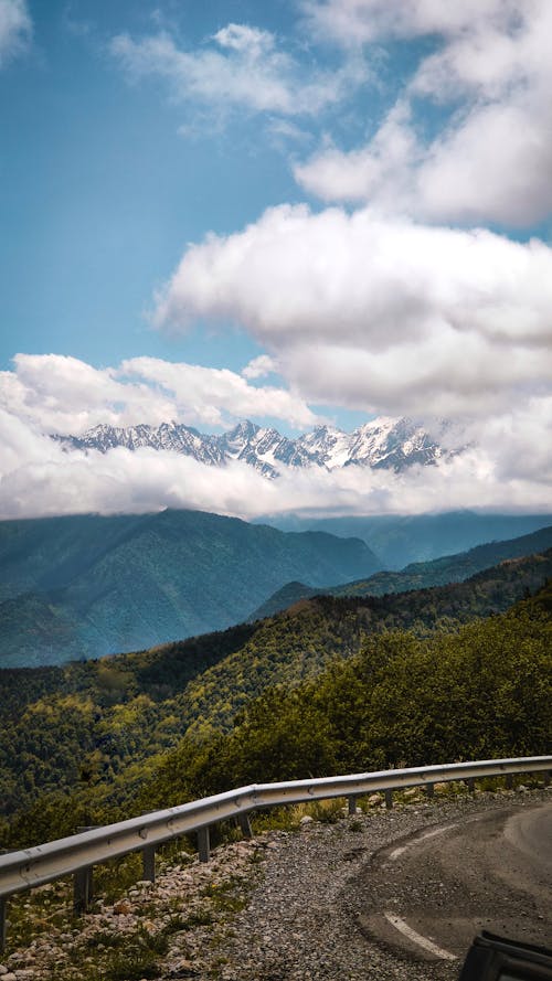 Foto profissional grátis de árvores, barreira, cenário