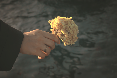 Free A close-up of a hand holding a bouquet of dried flowers with water in the background. Stock Photo