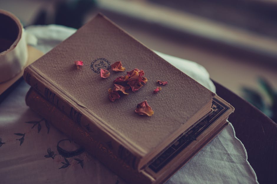 sudan's literature - literary image