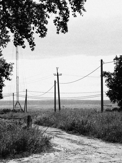 Free Black and white photo of a rural dirt road with electric poles and trees. Stock Photo