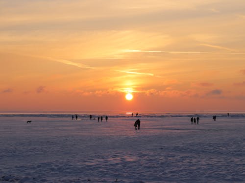 Silhouette of People During the Golden Hour