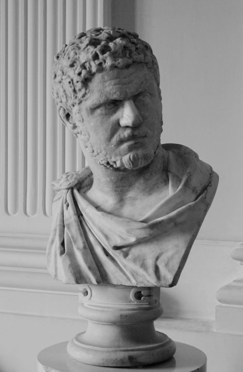 Free Elegant black and white shot of a classical marble bust in an indoor setting. Stock Photo