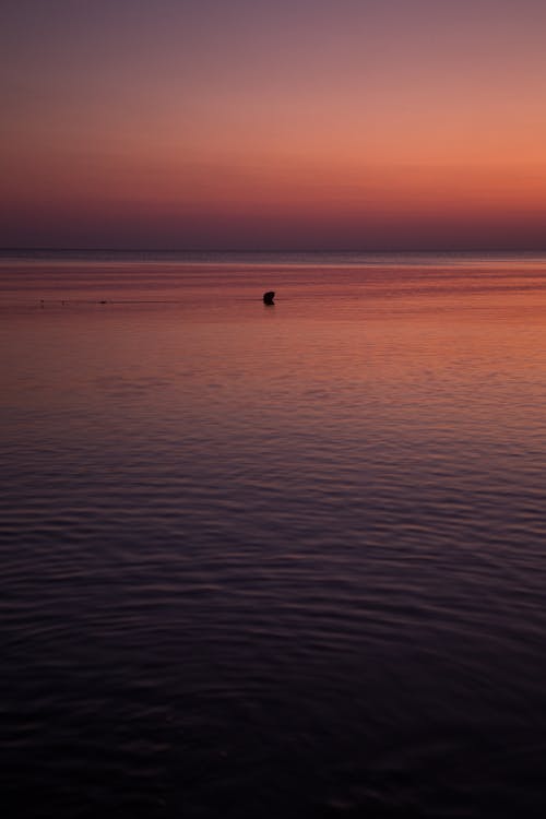 경치가 좋은, 고요한, 바다의 무료 스톡 사진