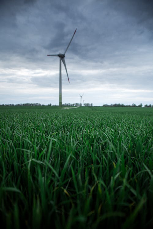 Wind Turbine on a Green Field 