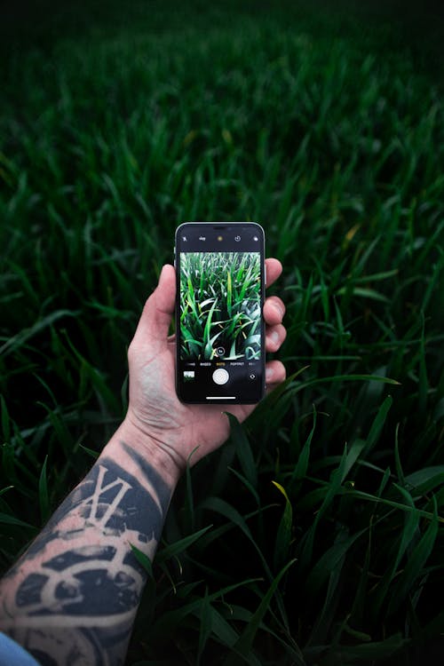 Person Taking Photo of Grass with a Cellphone