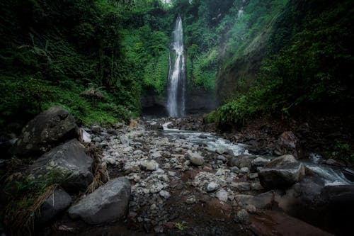 A Waterfall in the Forest 