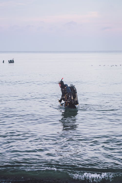 Photos gratuites de combinaison de plongée, côte, couvert