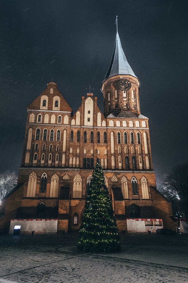 Konigsberg Cathedral, Kaliningrad, Russia