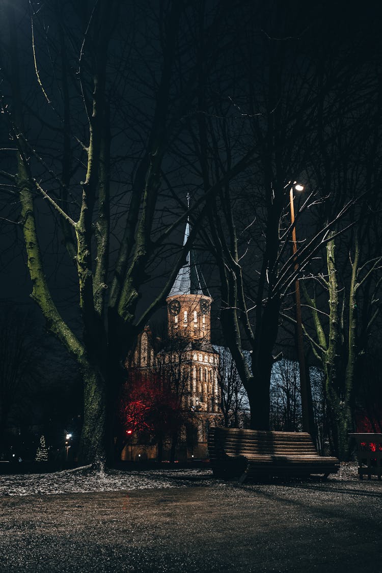 Konigsberg Cathedral Behind The Trees At Night, Kaliningrad, Russia