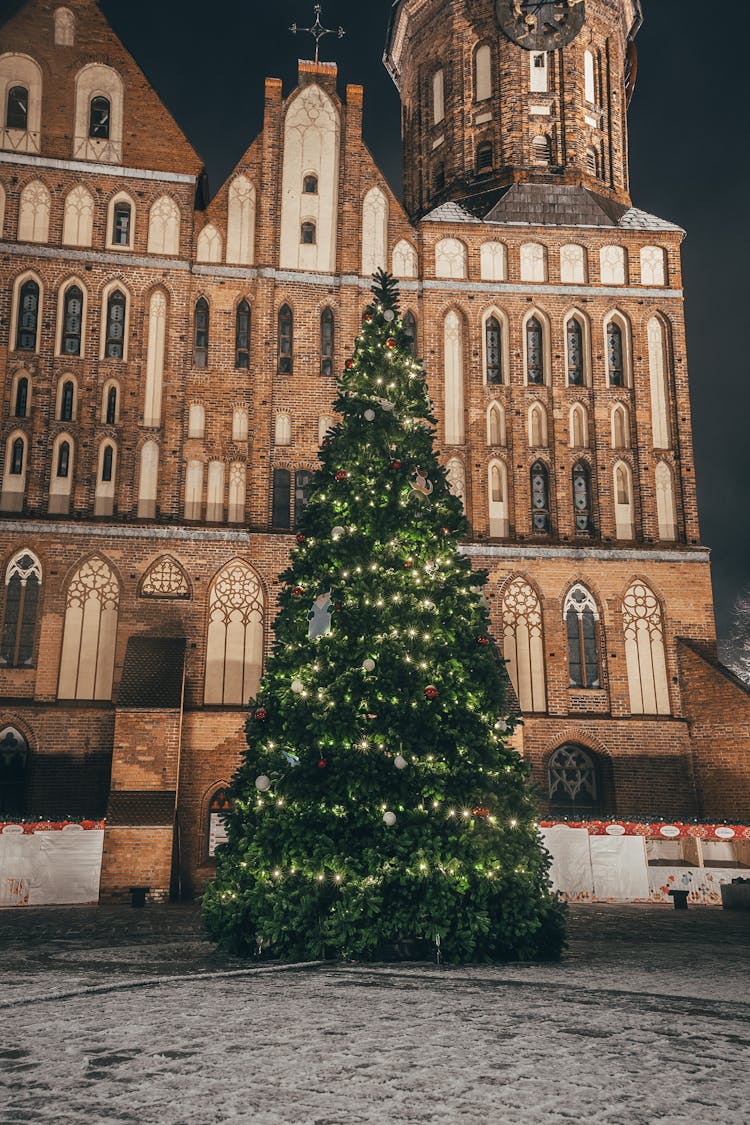 Christmas Tree And Church At Night