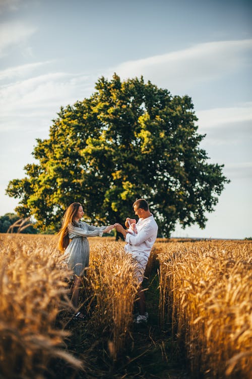 Foto d'estoc gratuïta de amor, arbre, camp