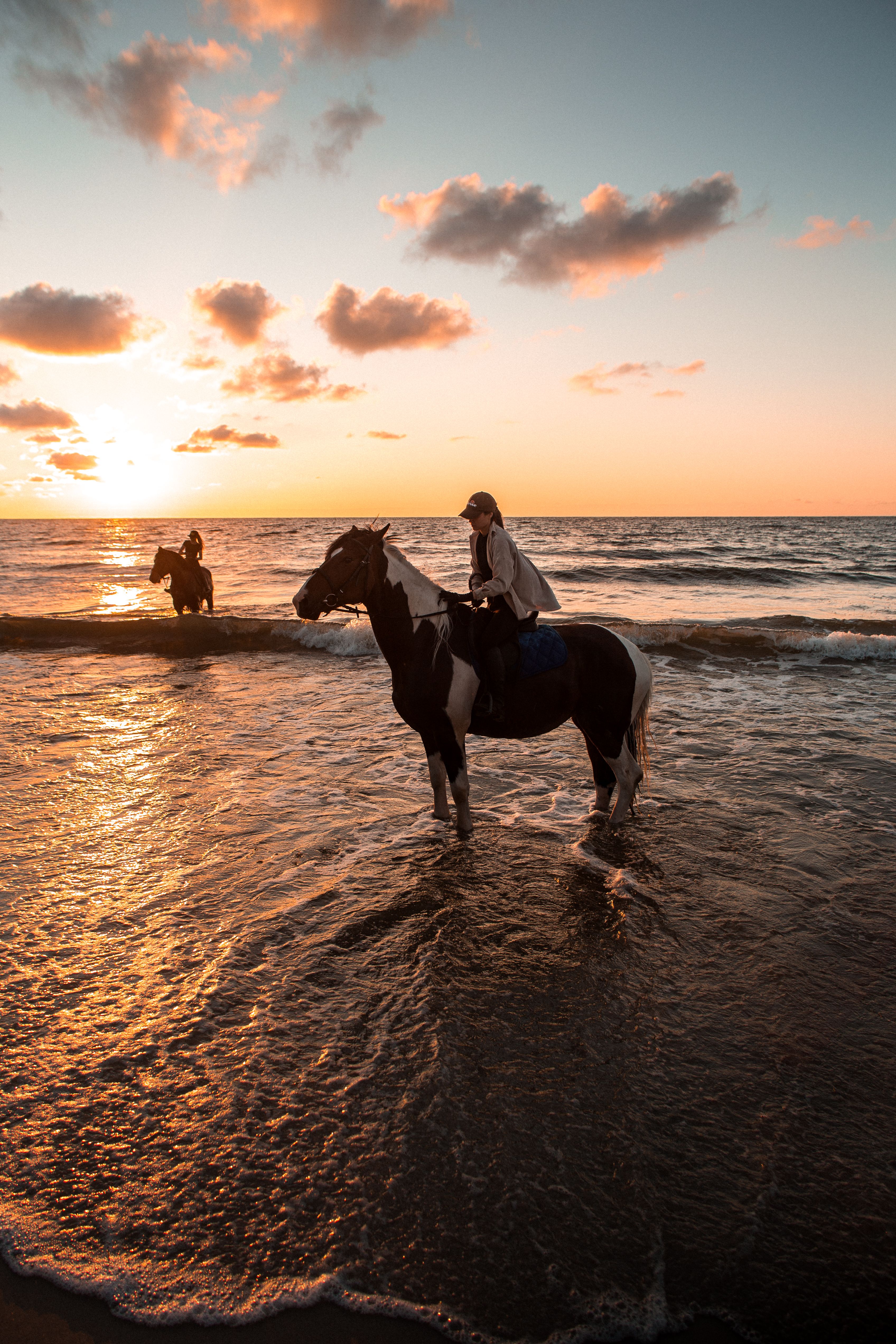 Person Riding a Horse on Beach during Sunset · Free Stock Photo