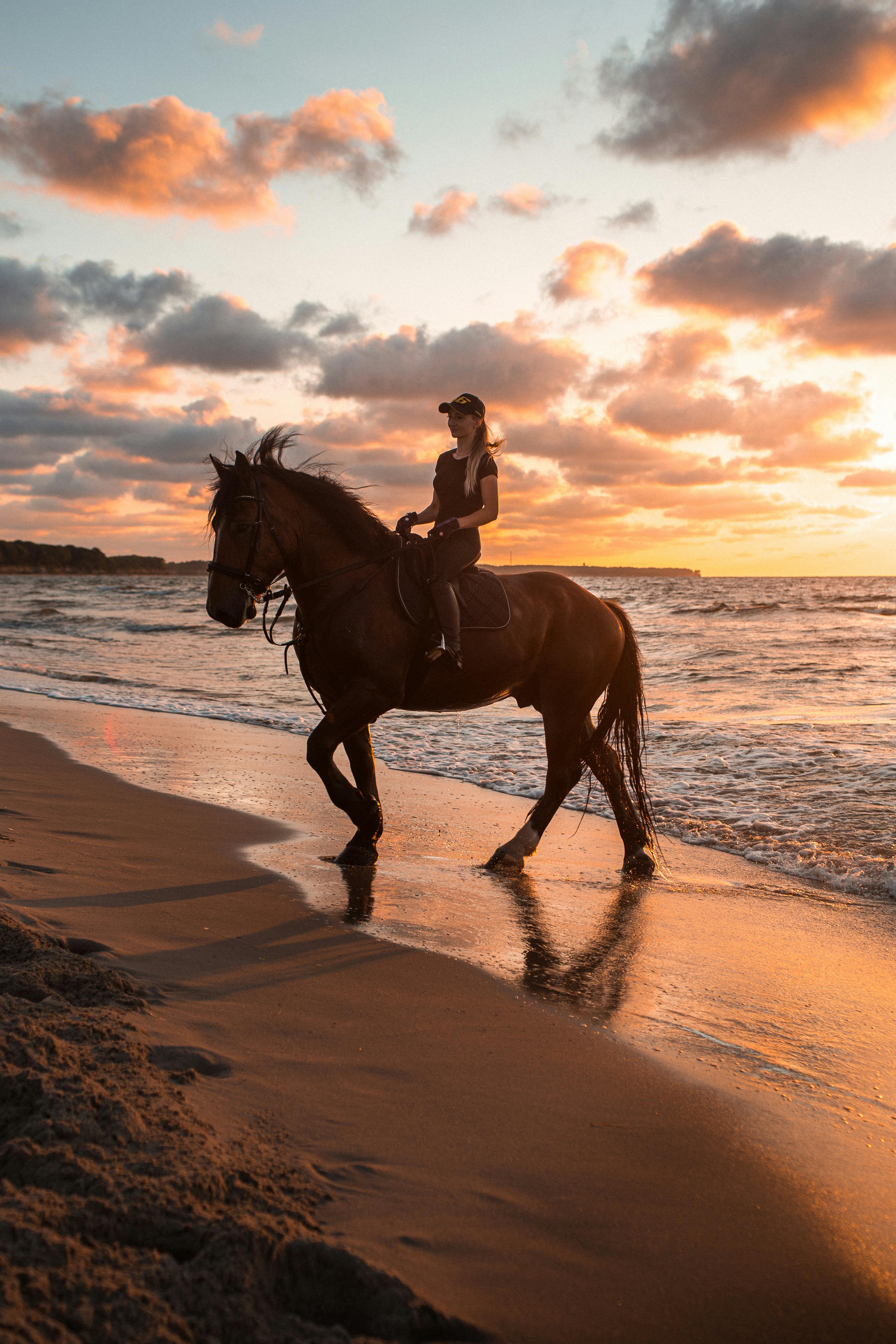 A Woman On A Horseback On A Beach · Free Stock Photo