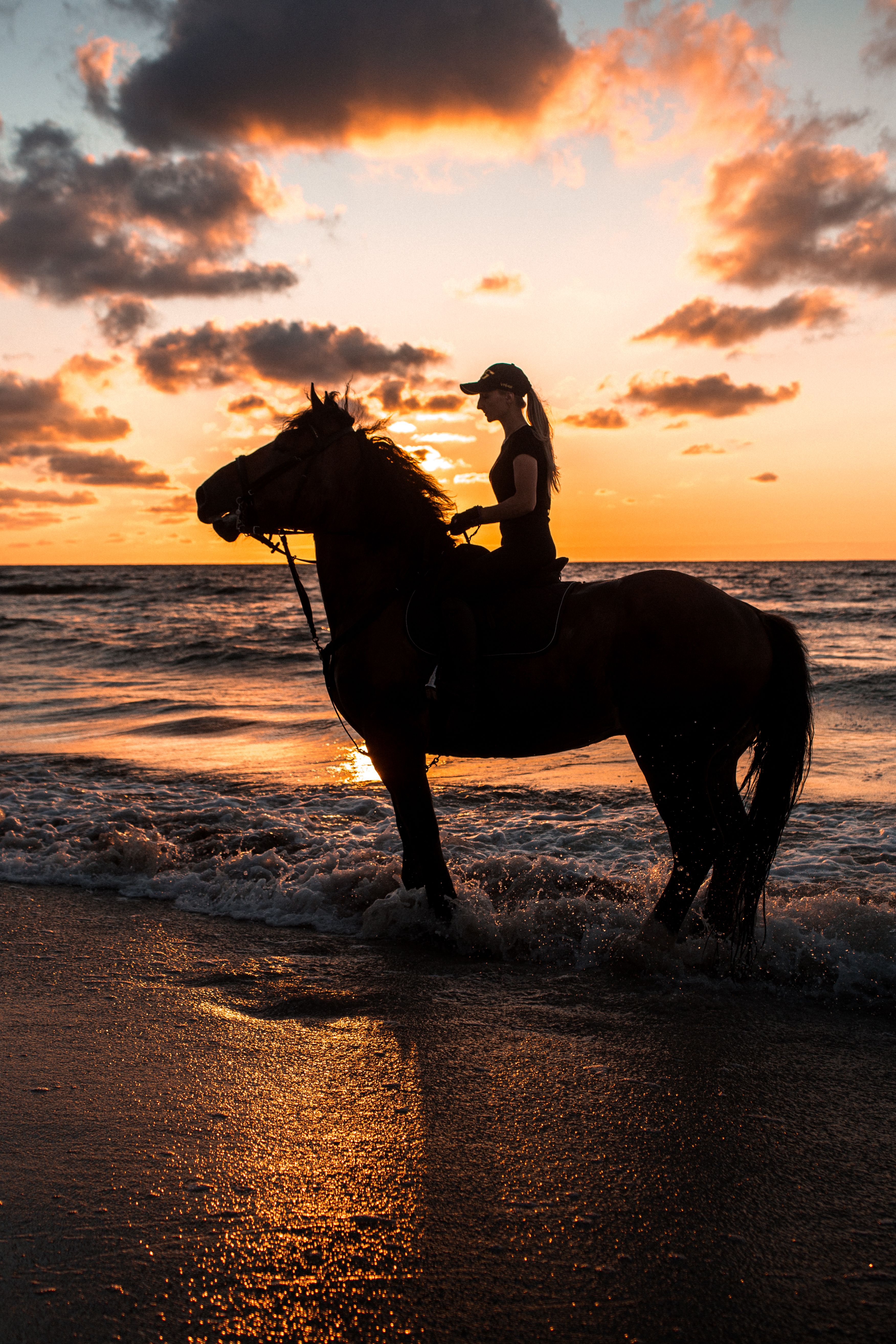 Silhouette of a Woman Riding a Horse on the Beach during Sunset · Free ...