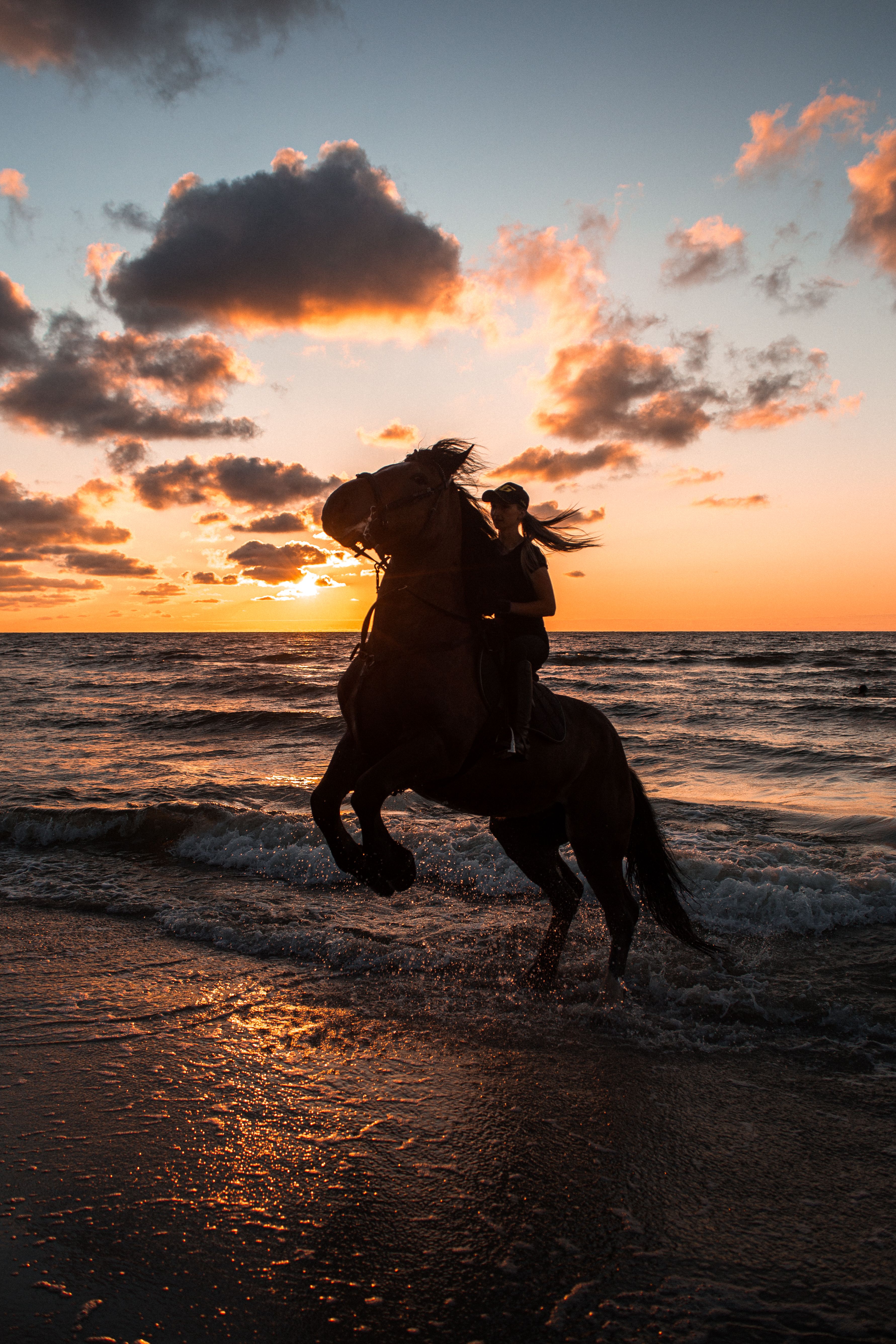Woman on Horse in Sea at Sunset · Free Stock Photo