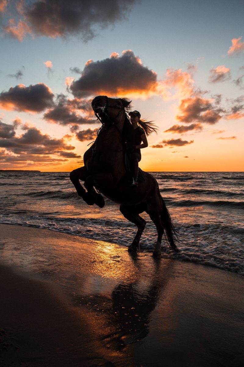Coastal Horseback Riding
