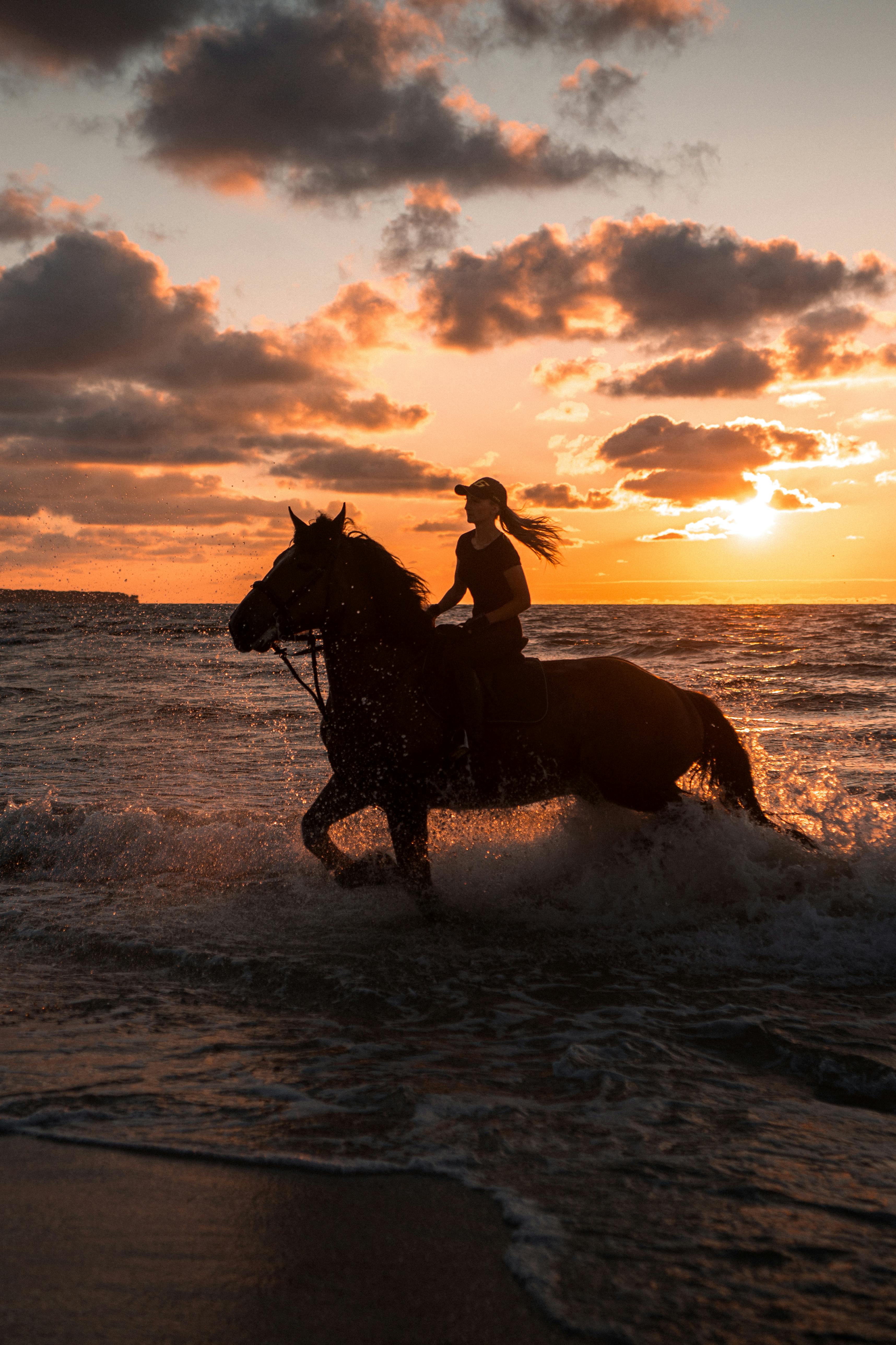 Woman Riding on Brown Horse on Beach during Sunset · Free Stock Photo