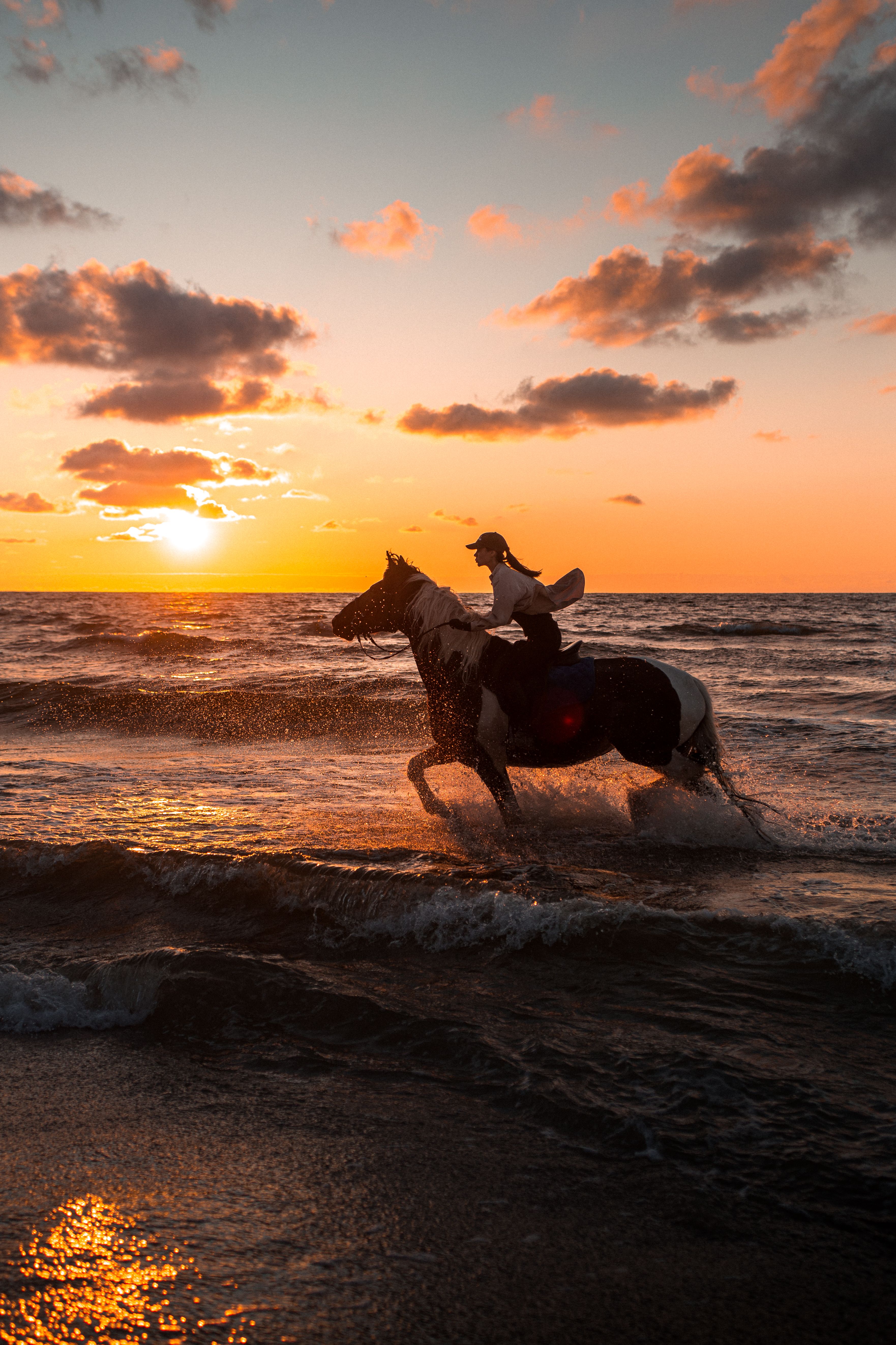 Woman Riding a Horse at the Beach during Sunset · Free Stock Photo