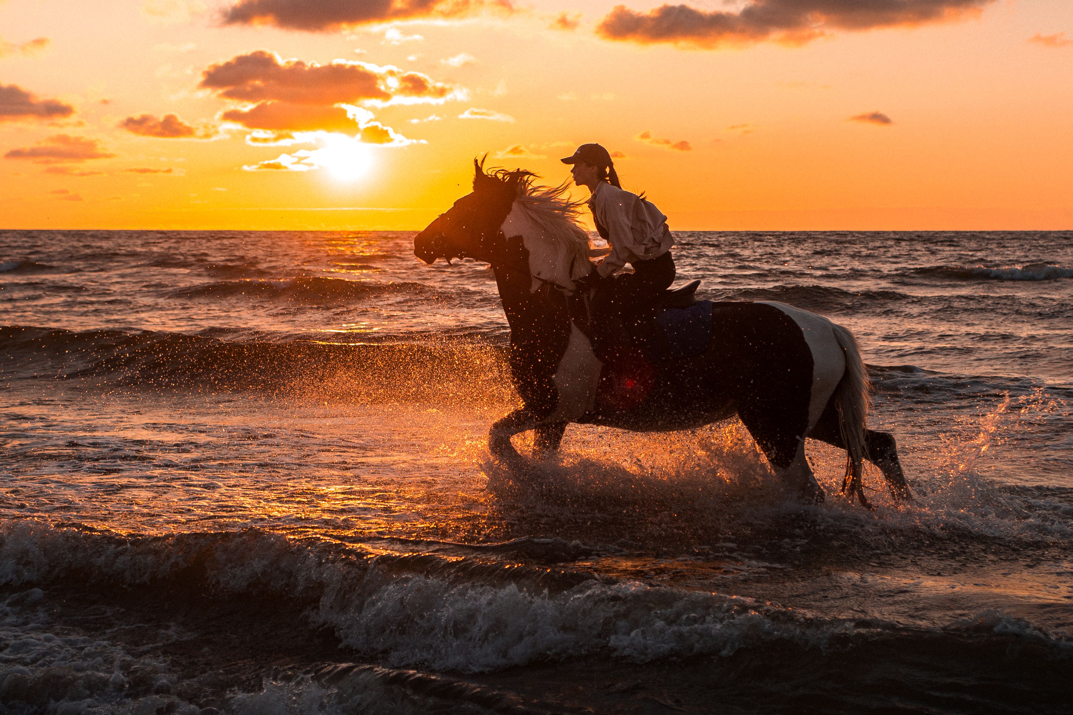 Woman Riding a Horse at the Beach during Sunset · Free Stock Photo