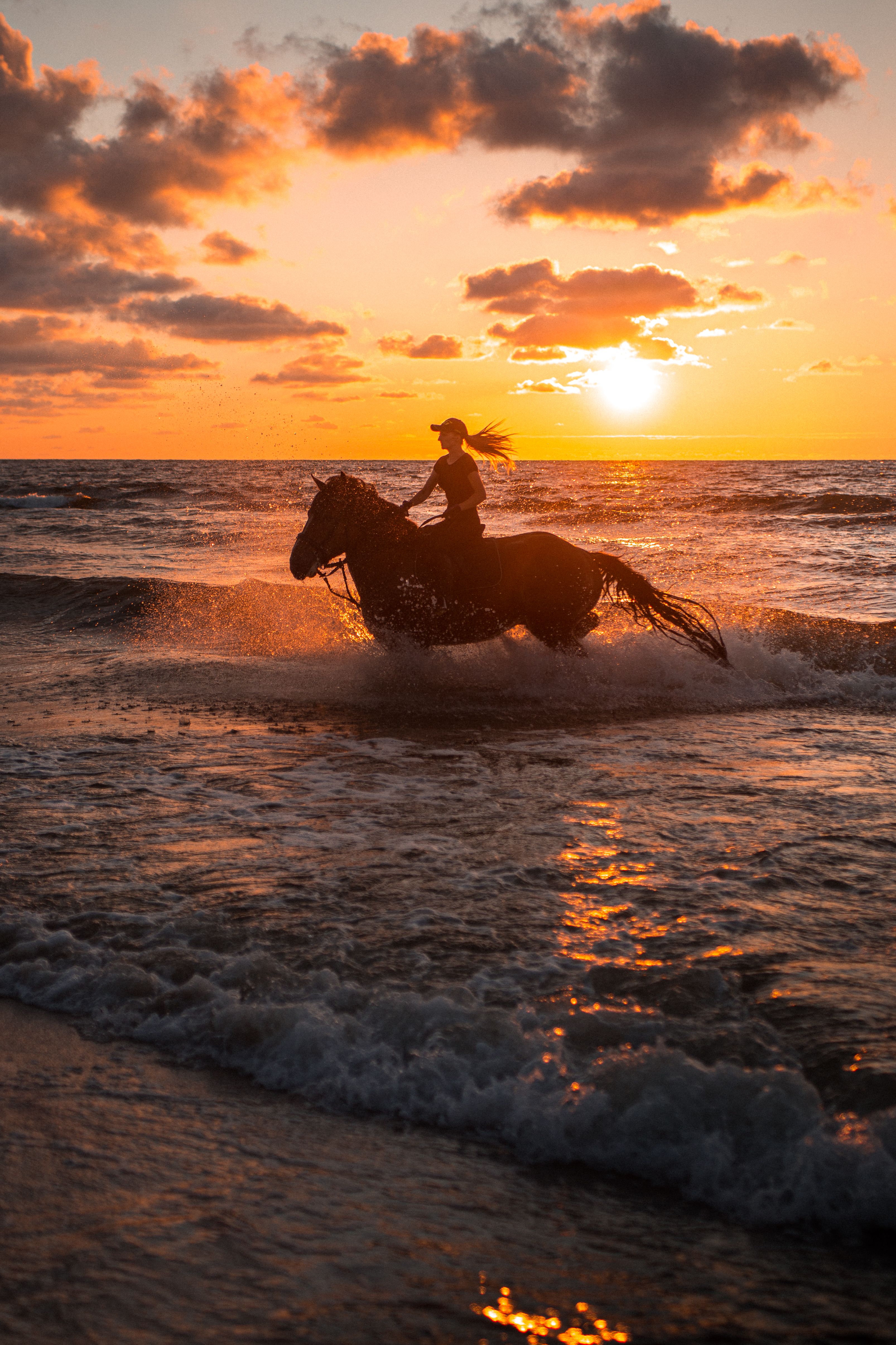 Woman Riding a Horse at the Beach during Sunset · Free Stock Photo