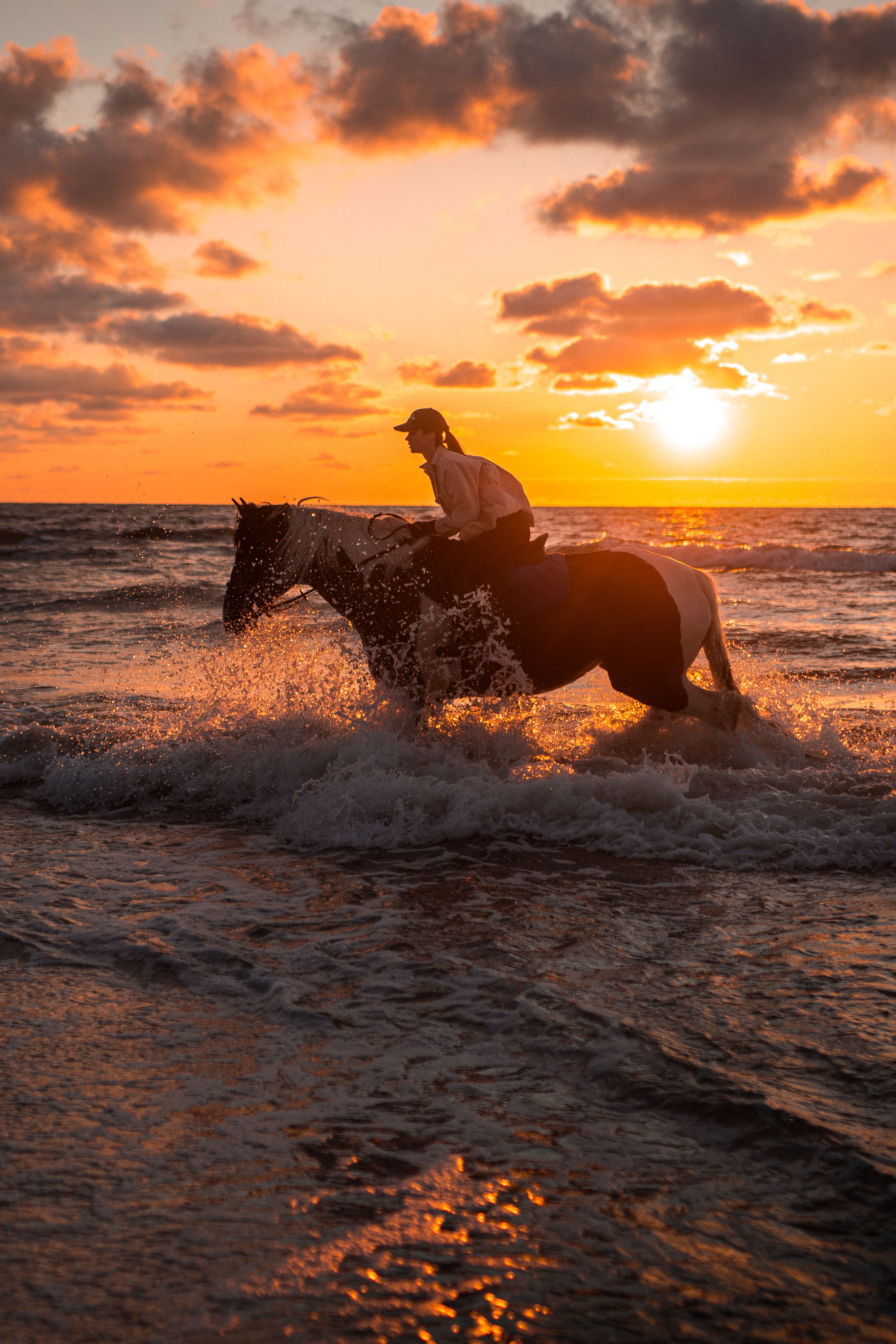 Woman Riding a Horse at the Beach during Sunset · Free Stock Photo
