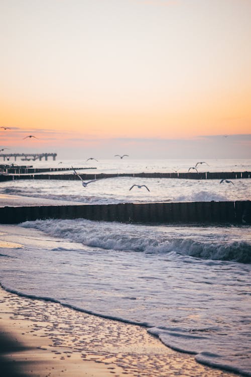 Free Scenic View of the Sea during Sunset Stock Photo