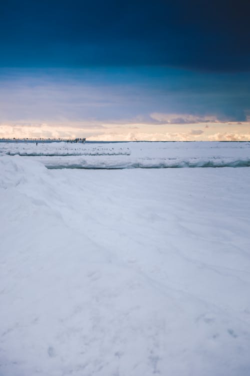 Snow Field under the Sky