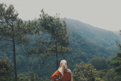 Woman in Brown Hijab Standing on Mountain