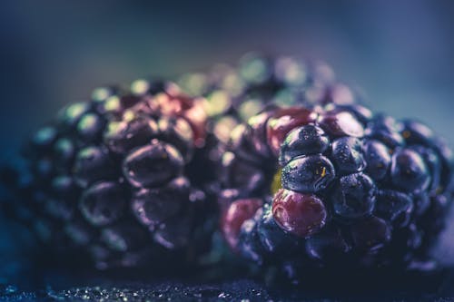 Fotografía De Enfoque Selectivo De Fruta Morada