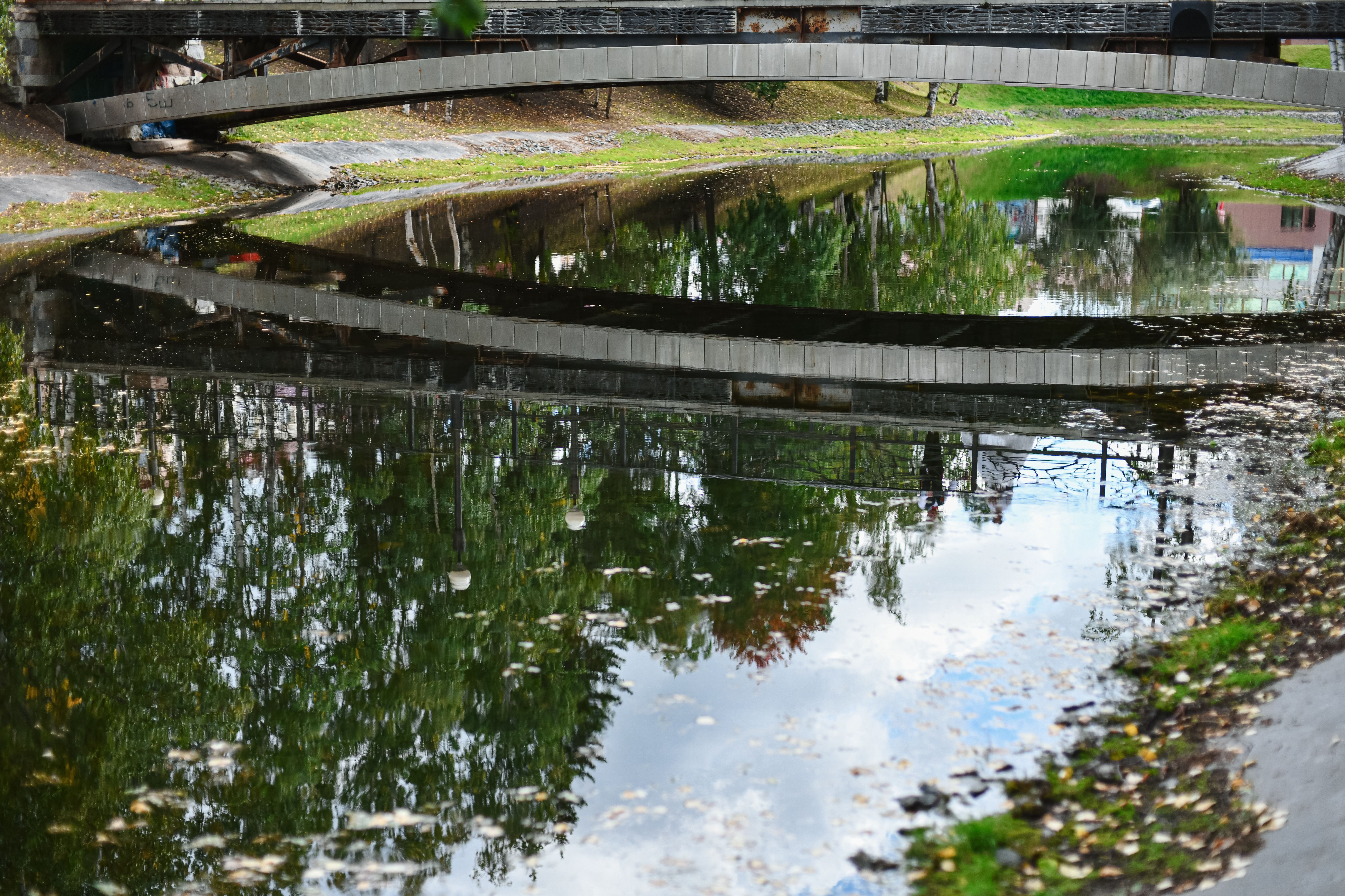 A peaceful reflection of a bridge and trees on a calm water surface creating a tranquil scene.
