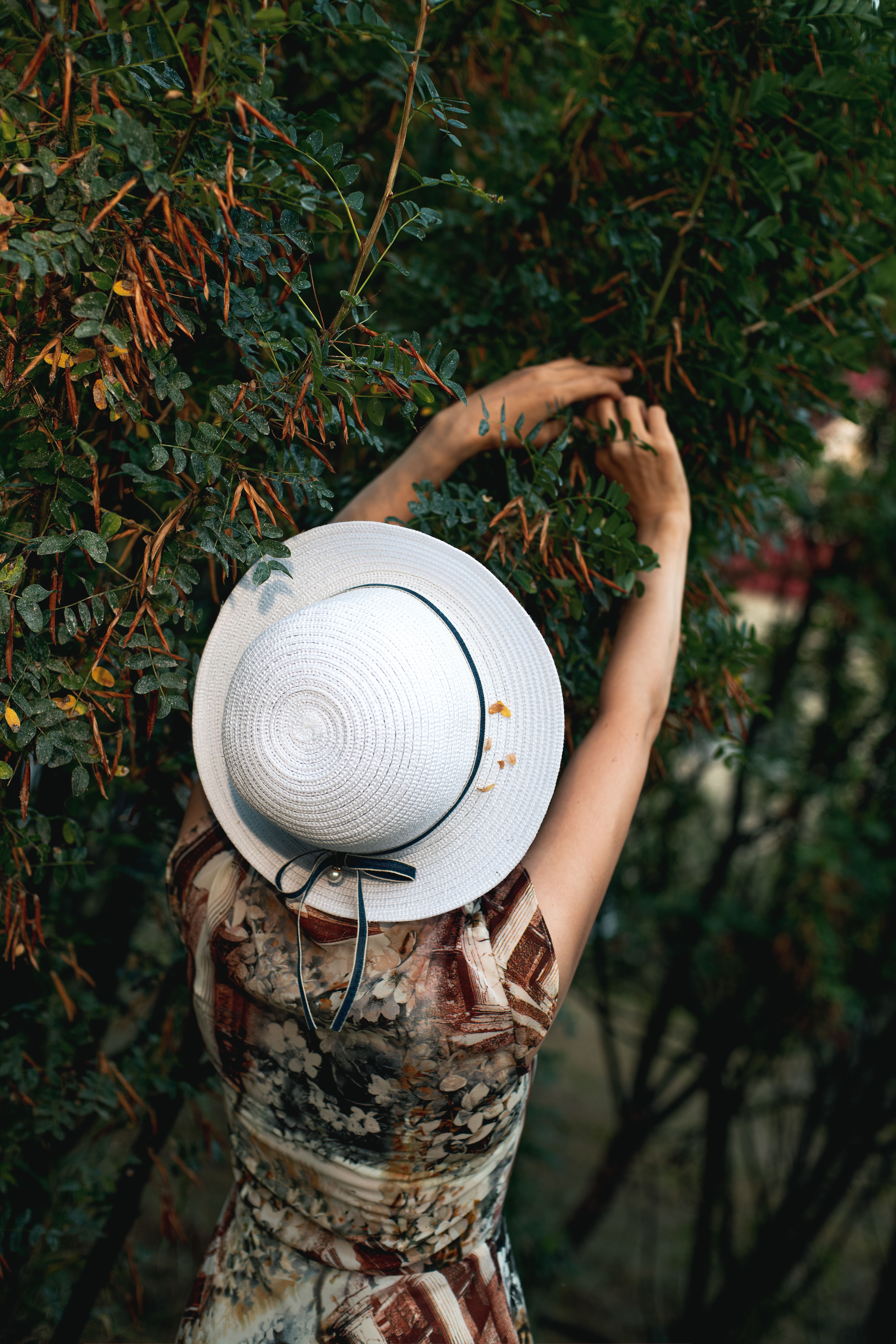 A woman in a floral dress reaching for tree branches wearing a straw hat