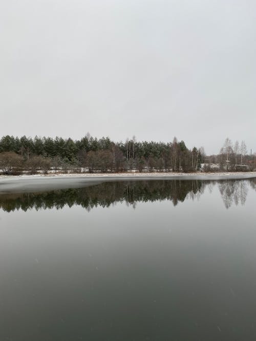 Body of Water Near Brown and Green Trees