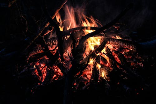 모닥불, 불, 야외에서의 무료 스톡 사진
