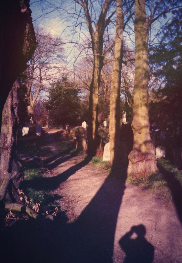 Creepy Cemetery With Shadows At Daylight